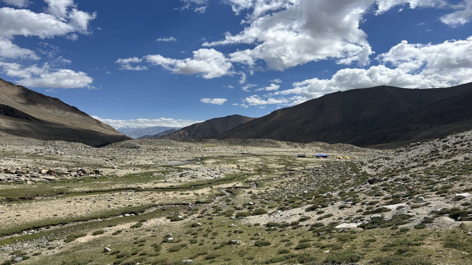 Samgyal Dawa Masiff 101 (1)