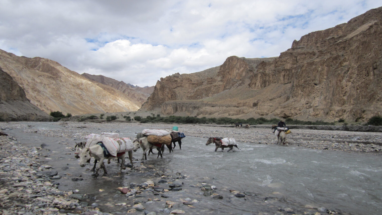 Markha Valley Trek (4)
