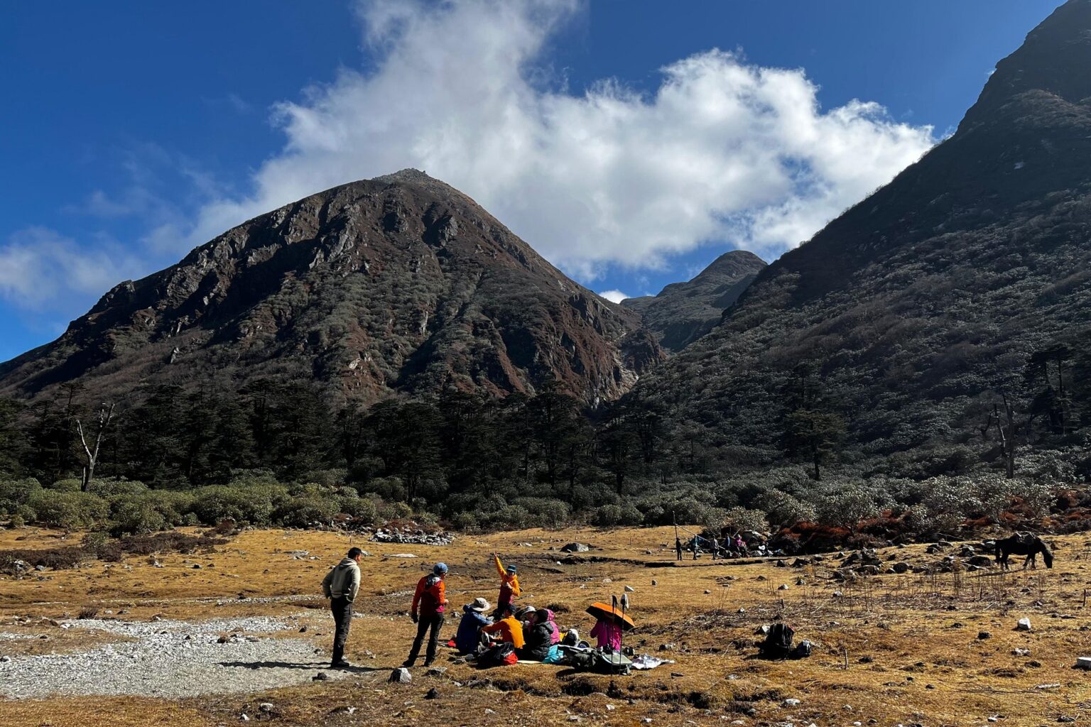 Uttarey to Yuksom (2)